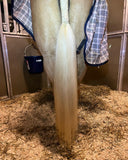 Natural Loop Fake Tails. Black, Sorrel, Flaxen, Grey, Cream, White. Real Horse Hair. Free Cover Bag, Pom Pom, Bridle Charm, Loop Charm. $99.99 - $510