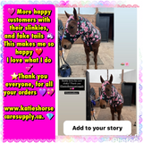 Warmblood/Draft Cross Slinky. FREE CHARM