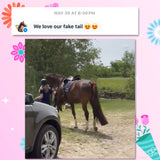 KNOB TOP Fake Tails 1 Pound. Real Horse Hair. Free Cover Bag, Pom Pom, Free Bridle Charm, Loop Charm. $160 - $180