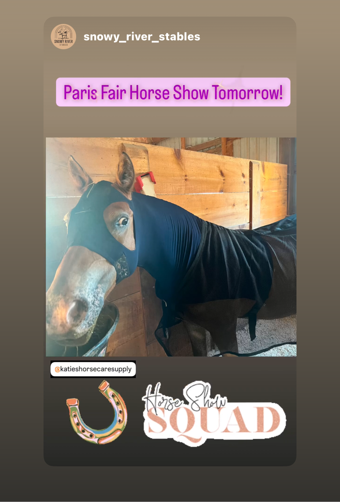 SMALL PONY SLINKY/SMALL-SIZED MEDIUM PONY. FREE CHARM