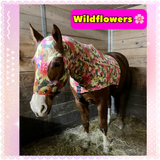 Medium Pony Slinky/Small Large Pony. FREE CHARM