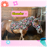 Warmblood/Draft Cross Slinky. FREE CHARM