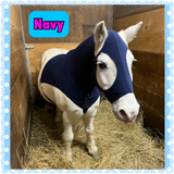 Medium Pony Slinky/Small Large Pony. FREE CHARM