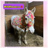 Small Pony Slinky/Small-Sized Medium Pony. FREE CHARM