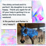 Warmblood/Draft Cross Slinky. FREE CHARM