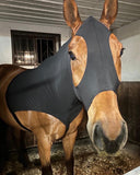 Medium Pony Slinky/Small Large Pony. FREE CHARM