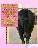 KNOB TOP Fake Tails 1/2 Pound. Real Horse Hair. Free Cover Bag, Pom Pom, Bridle Charm, Loop Charm. $99.99 - $115