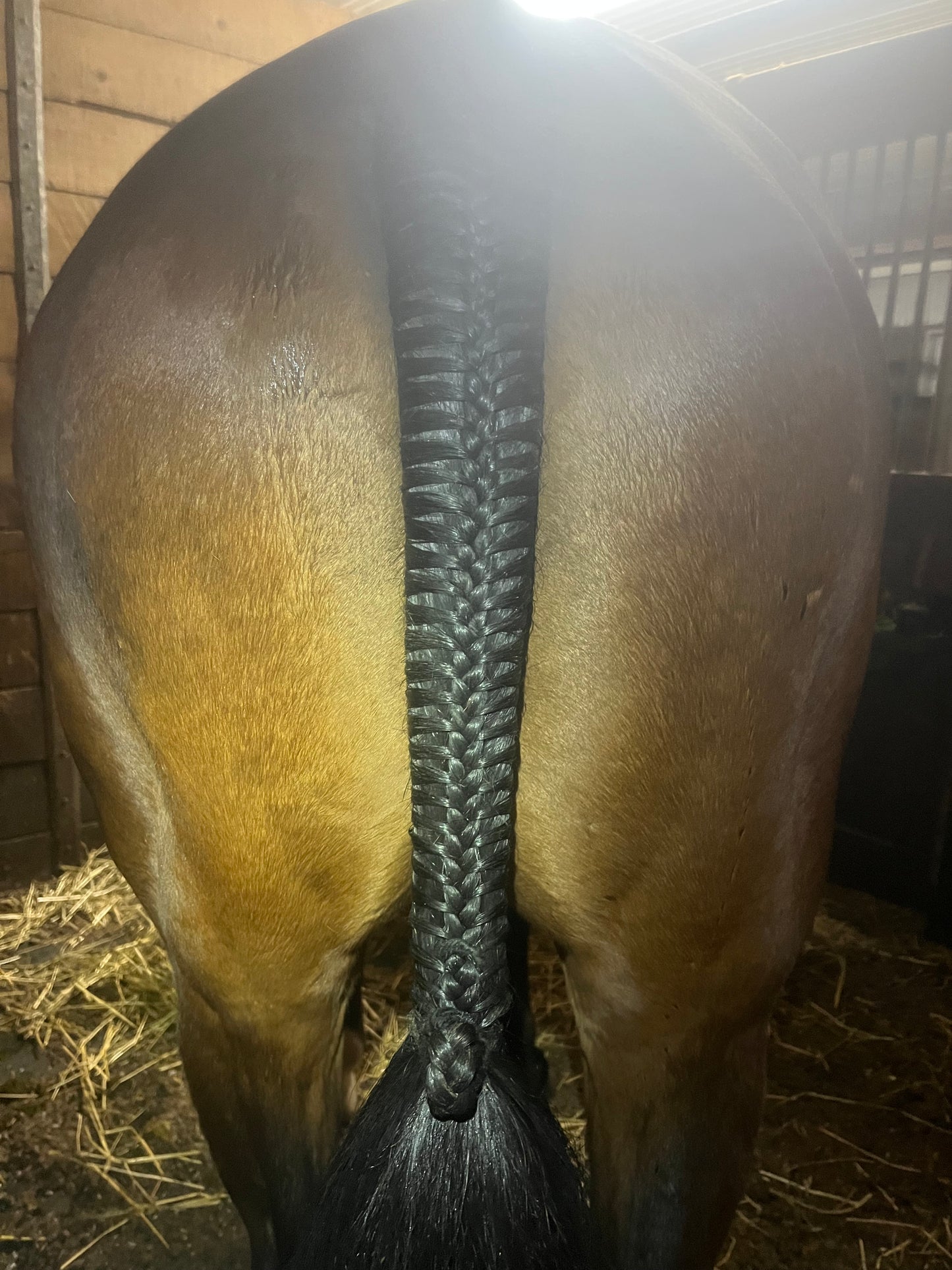 BRAIDING* Tutorials posted on the Facebook page: Katie’s Horse Care Supply (old), and Katie’s Horse Care Supply 2.0 (new). Instagram: Katie’s Horse Care Supply