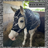 Warmblood/Draft Cross Slinky. FREE CHARM