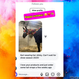 Medium Pony Slinky/Small Large Pony. FREE CHARM