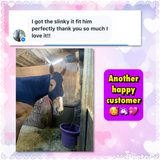 Horse Size Slinky. FREE CHARM