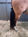 Natural Loop Fake Tails. Black, Sorrel, Flaxen, Grey, Cream, White. Real Horse Hair. Free Cover Bag, Pom Pom, Bridle Charm, Loop Charm. $99.99 - $510