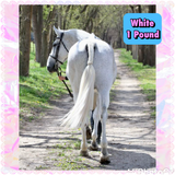 Natural Loop Fake Tails. Black, Sorrel, Flaxen, Grey, Cream, White. Real Horse Hair. Free Cover Bag, Pom Pom, Bridle Charm, Loop Charm. $99.99 - $510