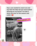 Natural Loop Fake Tails. Black, Sorrel, Flaxen, Grey, Cream, White. Real Horse Hair. Free Cover Bag, Pom Pom, Bridle Charm, Loop Charm. $99.99 - $510