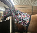 Warmblood/Draft Cross Slinky. FREE CHARM