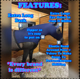 Medium Pony Slinky/Small Large Pony. FREE CHARM