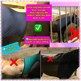 Warmblood/Draft Cross Slinky. FREE CHARM