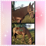 Warmblood/Draft Cross Slinky. FREE CHARM