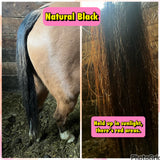 Natural Loop Fake Tails. Black, Sorrel, Flaxen, Grey, Cream, White. Real Horse Hair. Free Cover Bag, Pom Pom, Bridle Charm, Loop Charm. $99.99 - $510