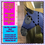 Medium Pony Slinky/Small Large Pony. FREE CHARM