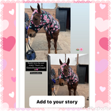 Small Pony Slinky/Small-Sized Medium Pony. FREE CHARM