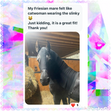 Small Pony Slinky/Small-Sized Medium Pony. FREE CHARM