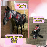 Medium Pony Slinky/Small Large Pony. FREE CHARM