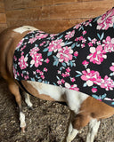 Small Pony Slinky/Small-Sized Medium Pony. FREE CHARM