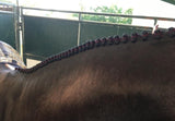 BRAIDING* Tutorials posted on the Facebook page: Katie’s Horse Care Supply (old), and Katie’s Horse Care Supply 2.0 (new)