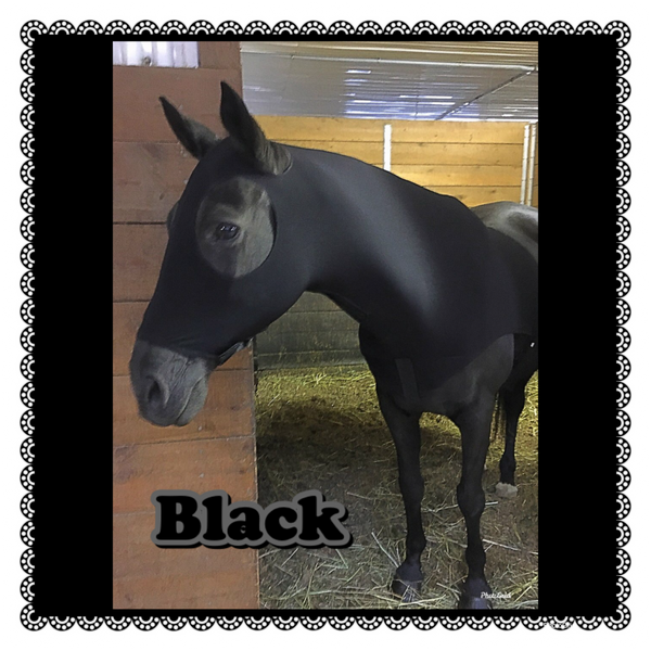 Large Pony/Small Horse Slinky. FREE CHARM