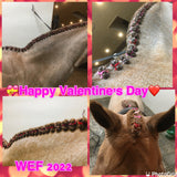 BRAIDING* Tutorials posted on the Facebook page: Katie’s Horse Care Supply (old), and Katie’s Horse Care Supply 2.0 (new)