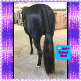 KNOB TOP Fake Tails 1 Pound. Real Horse Hair. Free Cover Bag, Pom Pom, Free Bridle Charm, Loop Charm. $160 - $180