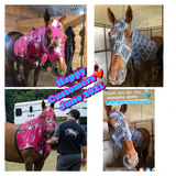 Medium Pony Slinky/Small Large Pony. FREE CHARM