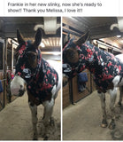 Medium Pony Slinky/Small Large Pony. FREE CHARM