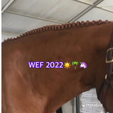 BRAIDING* Tutorials posted on the Facebook page: Katie’s Horse Care Supply (old), and Katie’s Horse Care Supply 2.0 (new)