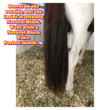 Natural Loop Fake Tails. Black, Sorrel, Flaxen, Grey, Cream, White. Real Horse Hair. Free Cover Bag, Pom Pom, Bridle Charm, Loop Charm. $99.99 - $510