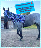 Medium Pony Slinky/Small Large Pony. FREE CHARM