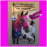 Small Pony Slinky/Small-Sized Medium Pony. FREE CHARM