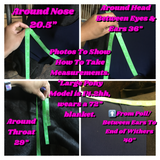 Large Pony/Small Horse Slinky. FREE CHARM