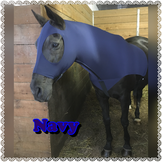 WARMBLOOD/DRAFT CROSS SLINKY. FREE CHARM