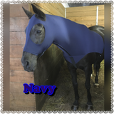Warmblood/Draft Cross Slinky. FREE CHARM