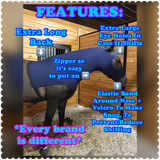 Horse Size Slinky. FREE CHARM