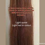 KNOB TOP Fake Tails 1 Pound. Real Horse Hair. Free Cover Bag, Pom Pom, Free Bridle Charm, Loop Charm. $160 - $180