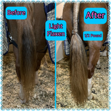 Natural Loop Fake Tails. Black, Sorrel, Flaxen, Grey, Cream, White. Real Horse Hair. Free Cover Bag, Pom Pom, Bridle Charm, Loop Charm. $99.99 - $510