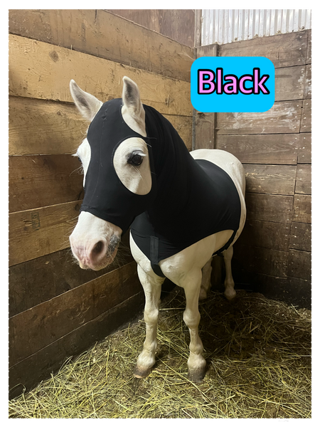 Small Pony Slinky/Small-Sized Medium Pony. FREE CHARM