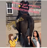 KNOB TOP Fake Tails 1 Pound. Real Horse Hair. Free Cover Bag, Pom Pom, Free Bridle Charm, Loop Charm. $160 - $180