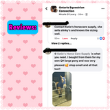 Large Pony/Small Horse Slinky. FREE CHARM