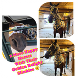 Large Pony/Small Horse Slinky. FREE CHARM