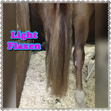 Natural Loop Fake Tails. Black, Sorrel, Flaxen, Grey, Cream, White. Real Horse Hair. Free Cover Bag, Pom Pom, Bridle Charm, Loop Charm. $99.99 - $510