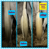 Natural Loop Fake Tails. Black, Sorrel, Flaxen, Grey, Cream, White. Real Horse Hair. Free Cover Bag, Pom Pom, Bridle Charm, Loop Charm. $99.99 - $510